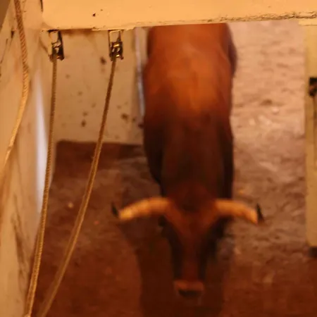 Don Cecilio Maison d'hôtes Saint-Sébastien